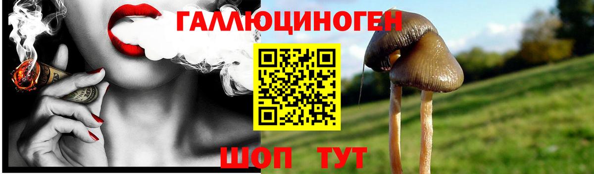 Галлюциногенные грибы прущие грибы Нарьян-Мар